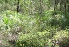 Stanmore NSWsustainable-landscaping-21.jpg; ?>